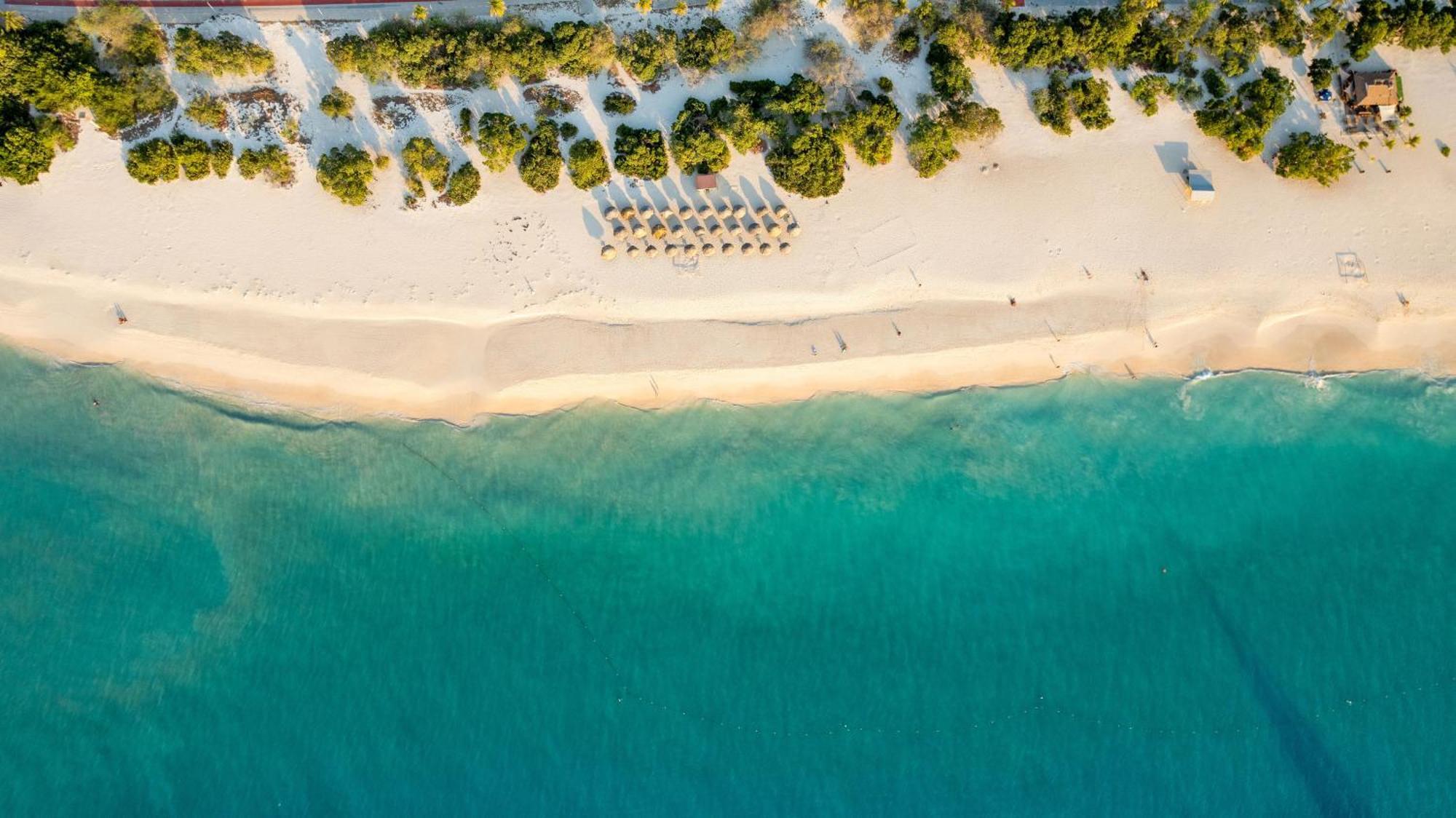 O Condominium Beachfront Residences, By Bocobay Aruba Palm Beach Kültér fotó